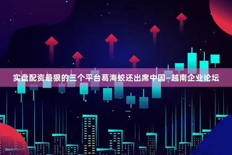 实盘配资最狠的三个平台葛海蛟还出席中国—越南企业论坛