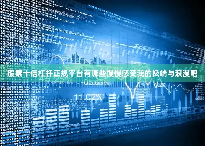 股票十倍杠杆正规平台有哪些慢慢感受我的极端与浪漫吧